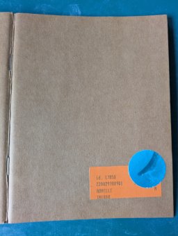 Libri Artista  &raquo; Generation pandemic
